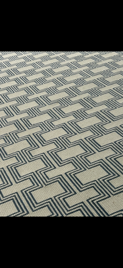 Beautiful Carpet lightly worn