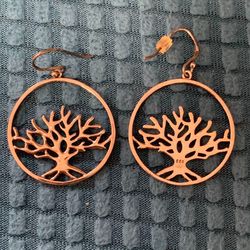 Silver Earrings 