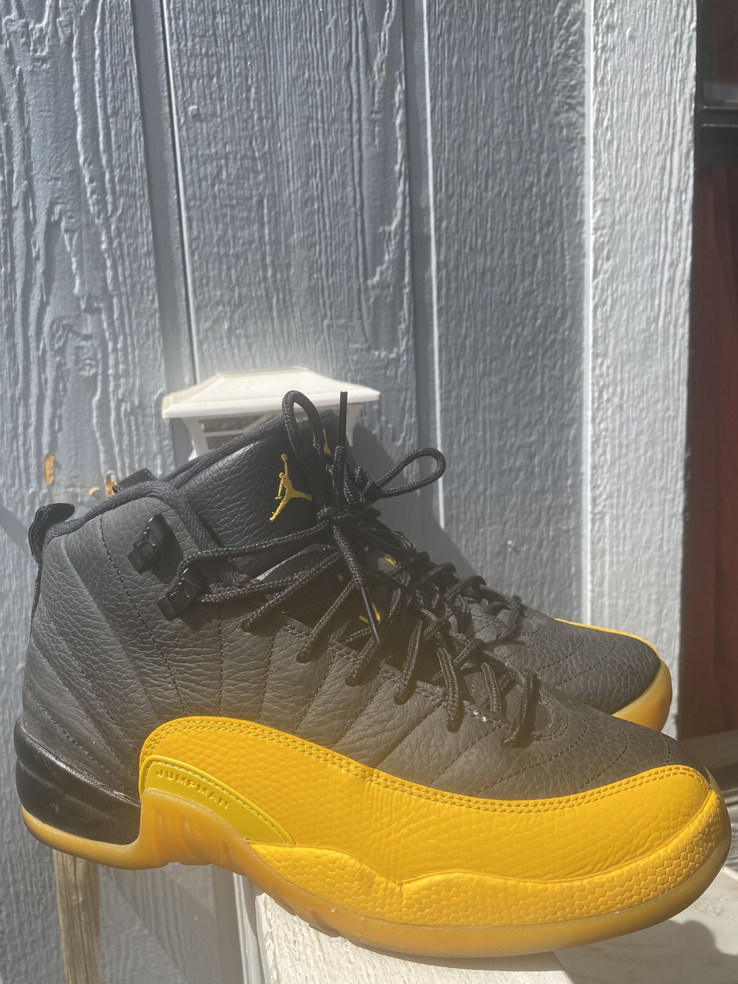 Jordan Retro 12