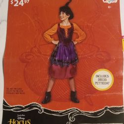 Hocus Pocus Mary Coatume Size 10-12