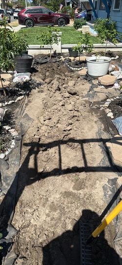 Free dirt