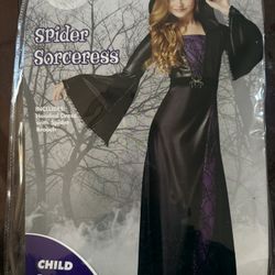 Girl Halloween Costume - Spider Sorceress