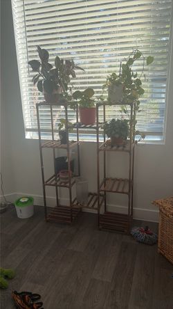 Plant shelve