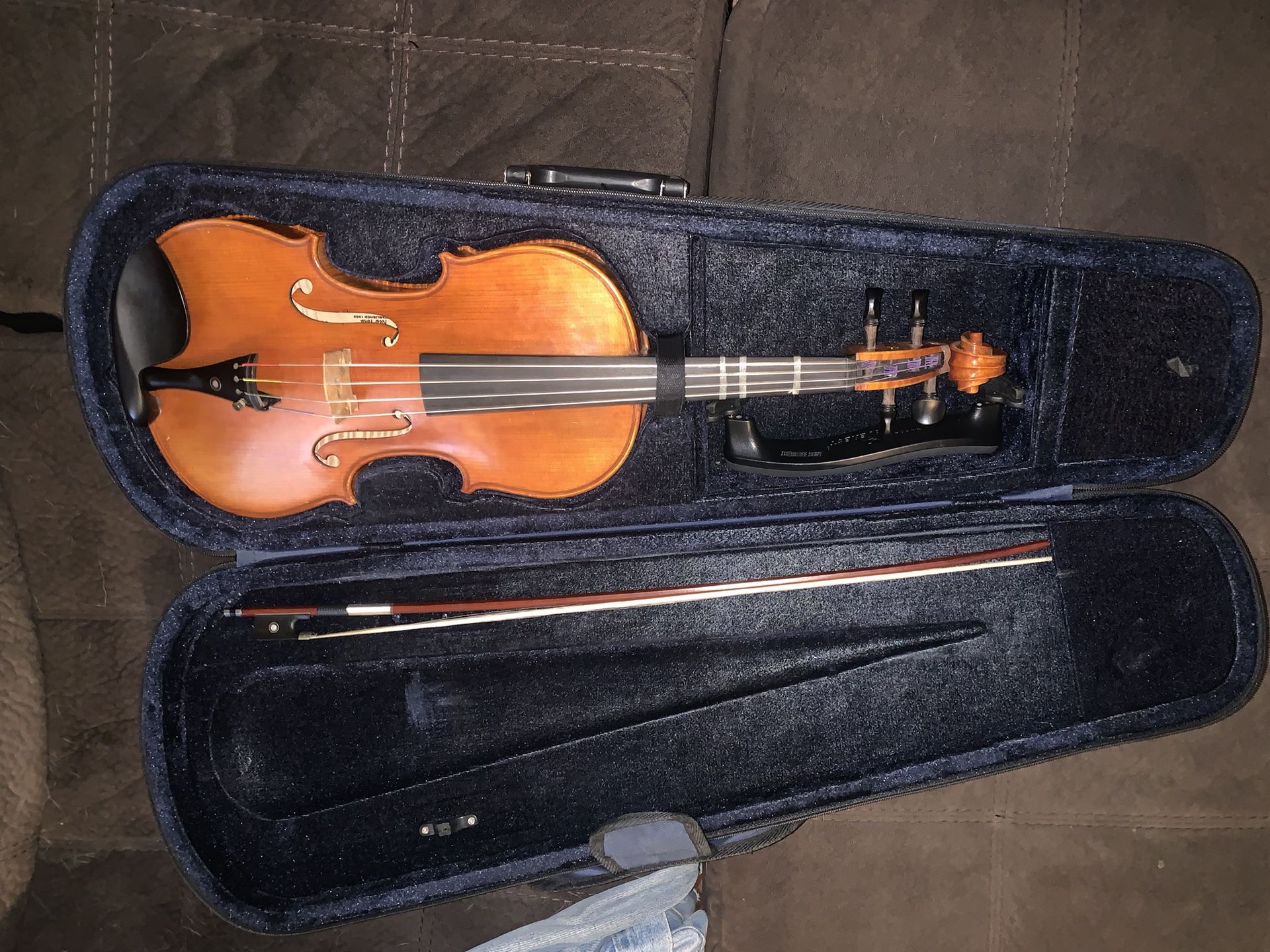 Viola, Carlo Robelli