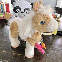 Baby Butterscotch Pony