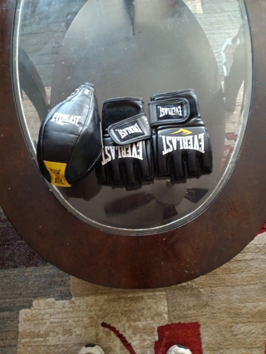 Everlast UFC Gloves + Speed Bag