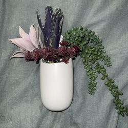 Wall Mounted Succulent Pot w/ Succulents 