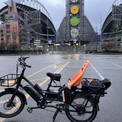 Radwagon for sale new arrivals
