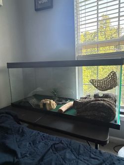“Glass Reptile Terrarium / Reptile Enclosure” -    Terrarium with Stand
