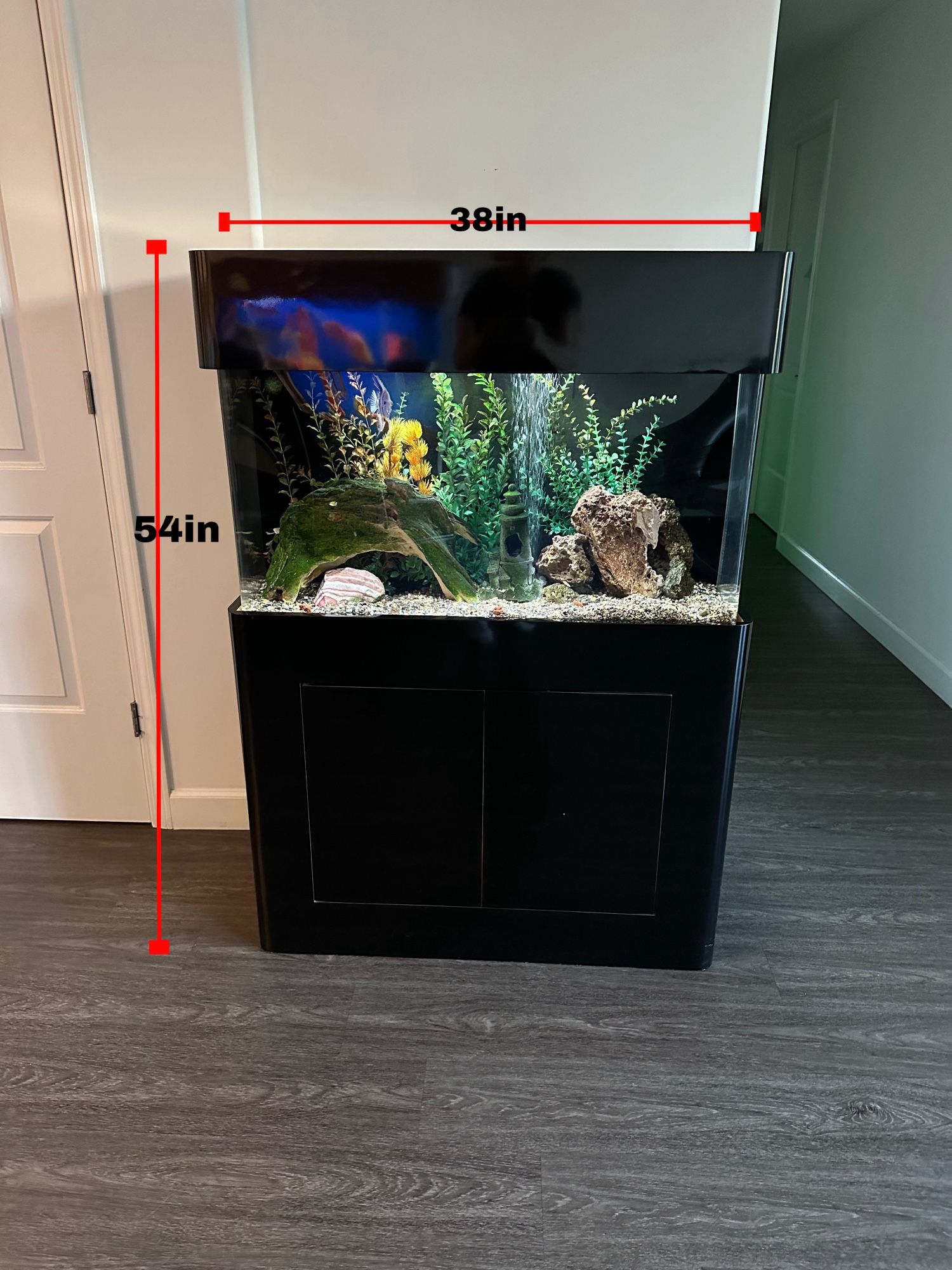 Fish tank