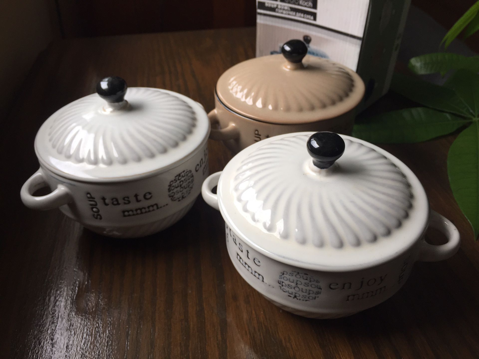 NEW Ceramic heat resistant pots for individual dish: soup or meat