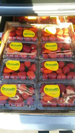 Fresas y mangos