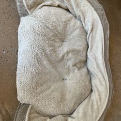Large dog bed