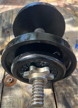 black cast-iron weight plate,  2 the 5 pounds and 2 the 3 pounds