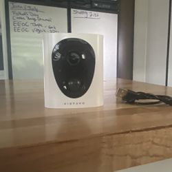 Indoor/outdoor Video Camera 