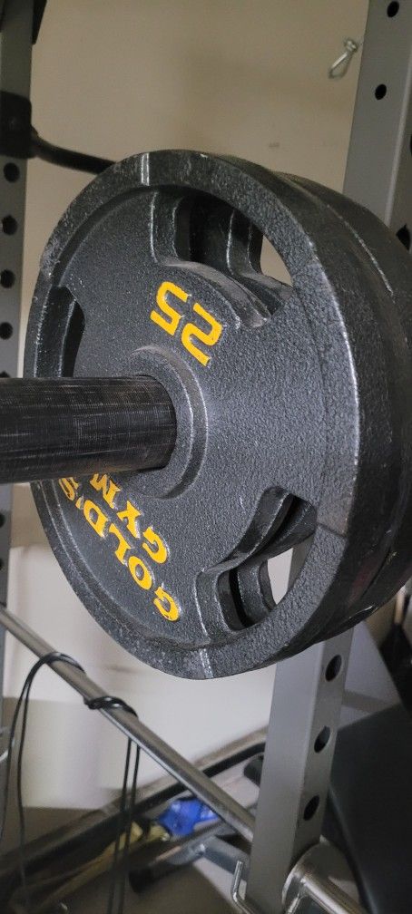 25lbs Golds Gym Weight Plate