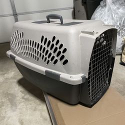 Animal Carrier FREE