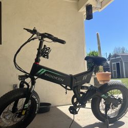 Electric Bike Wooken
