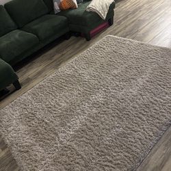 Large Plush Neutral Rug – Cozy and Clean – Must Go