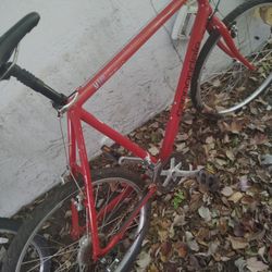 Nice  Cannondale Bicycle 