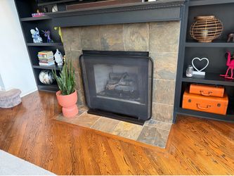 Crate & Barrel Telum fireplace screen