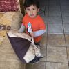Saul