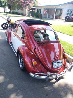 Trade/ 63 ragtop bug