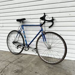 Fixie Road Bike
