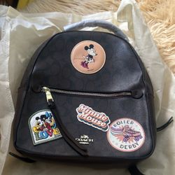 Fashion Purse  Dust Bag 