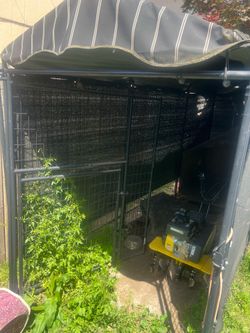 Out side dog kennel