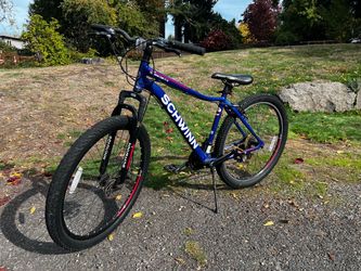 Schwinn bike & Trek bike