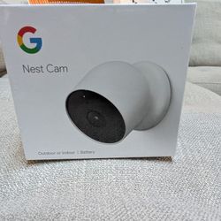 Google Nest Cam
