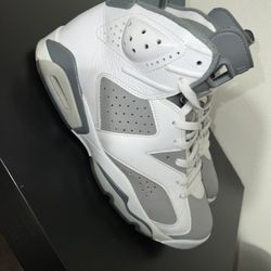 Retro Jordan 6 Cool Grey 