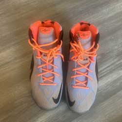 Lebron Sneakers