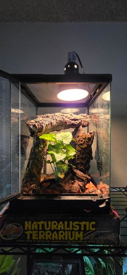 Zoo Med Tokay Gecko Reptile Tank