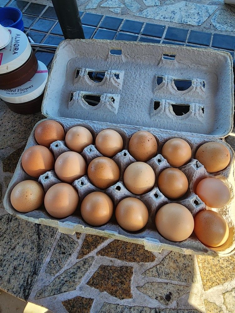Farm Fresh