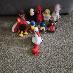 Lot Of TY Beanie Baby Birds