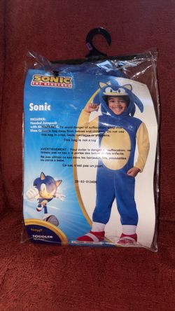 Sonic Costume