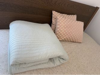 Cotton quilt with down filled throw pillows