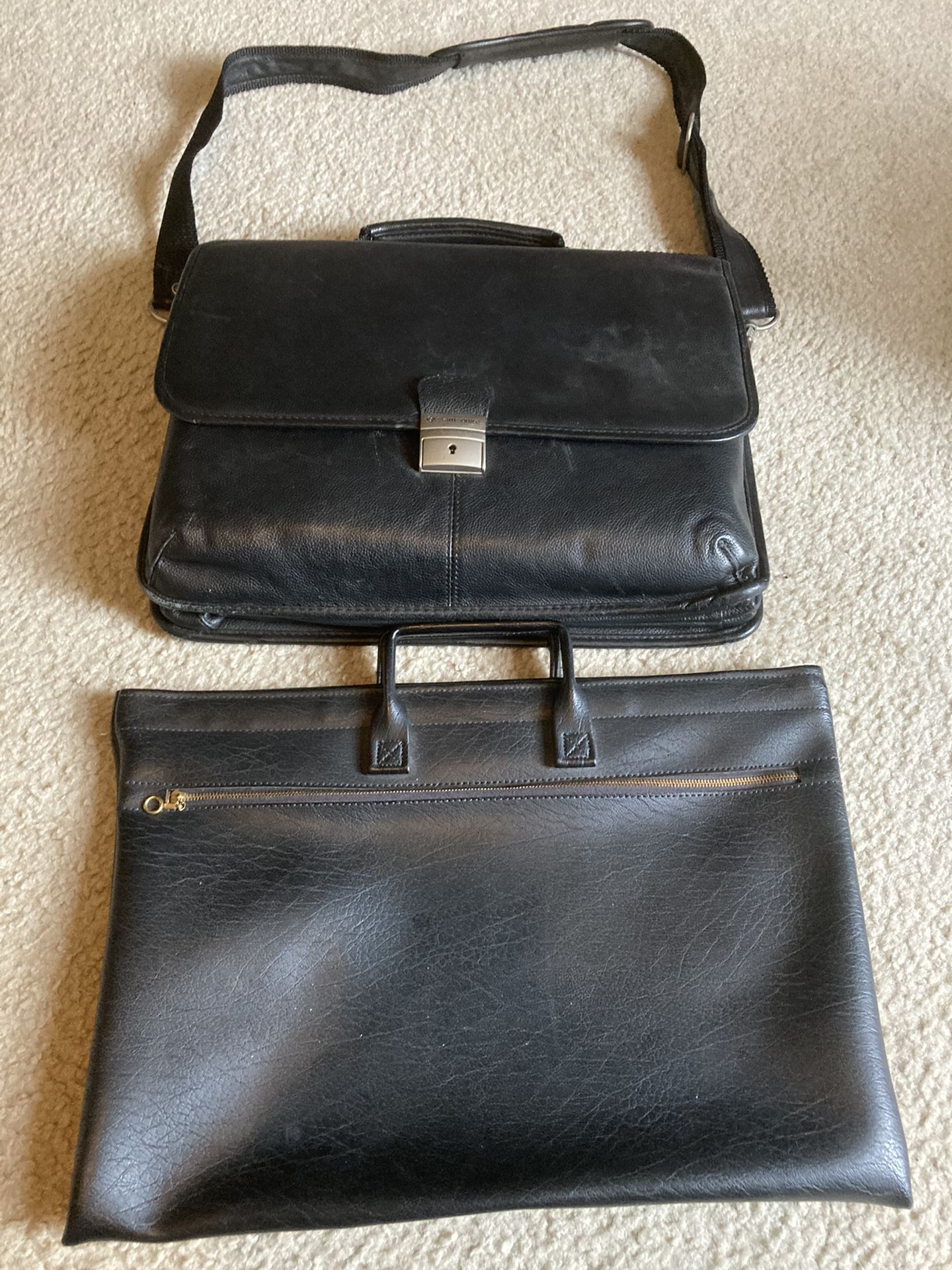 Two portfolio carrying cases