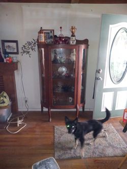 Glass Door Display Case