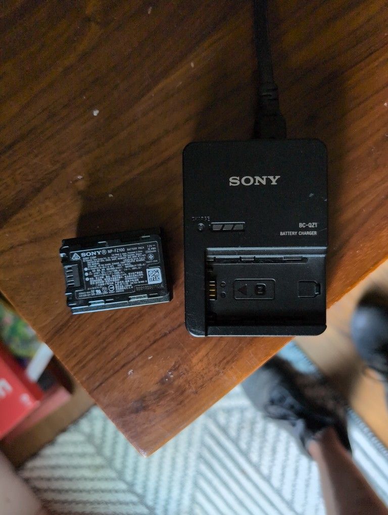 Sony Mirrorless Camera Battery Charger - $100 (obo/Culebra-1604)