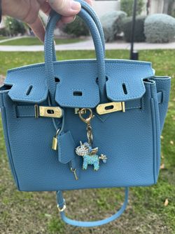 Blue Purse