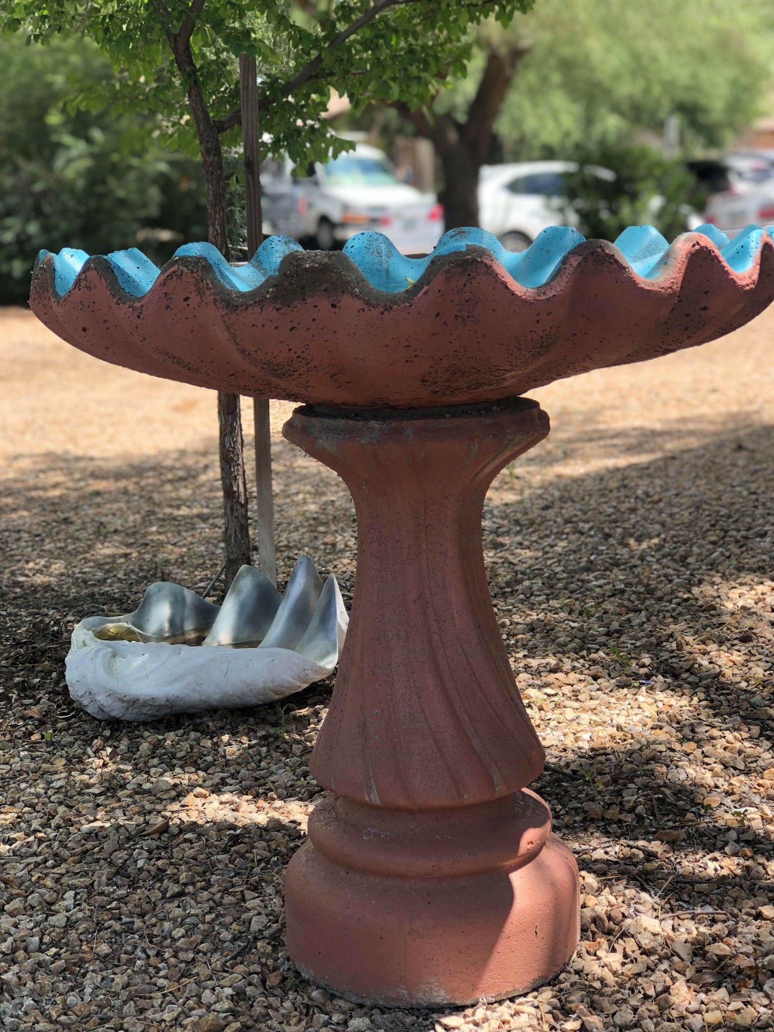 Concrete Shell Bird Bath