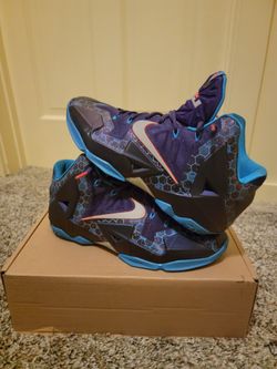 lebron xi hornets 