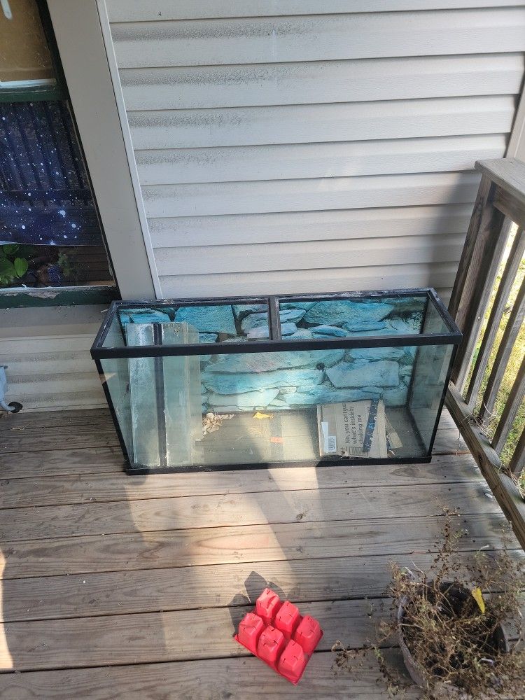 60 Gallon Fish Tank