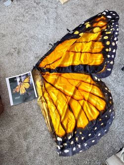 Butterfly Wings Cape – Halloween Costume