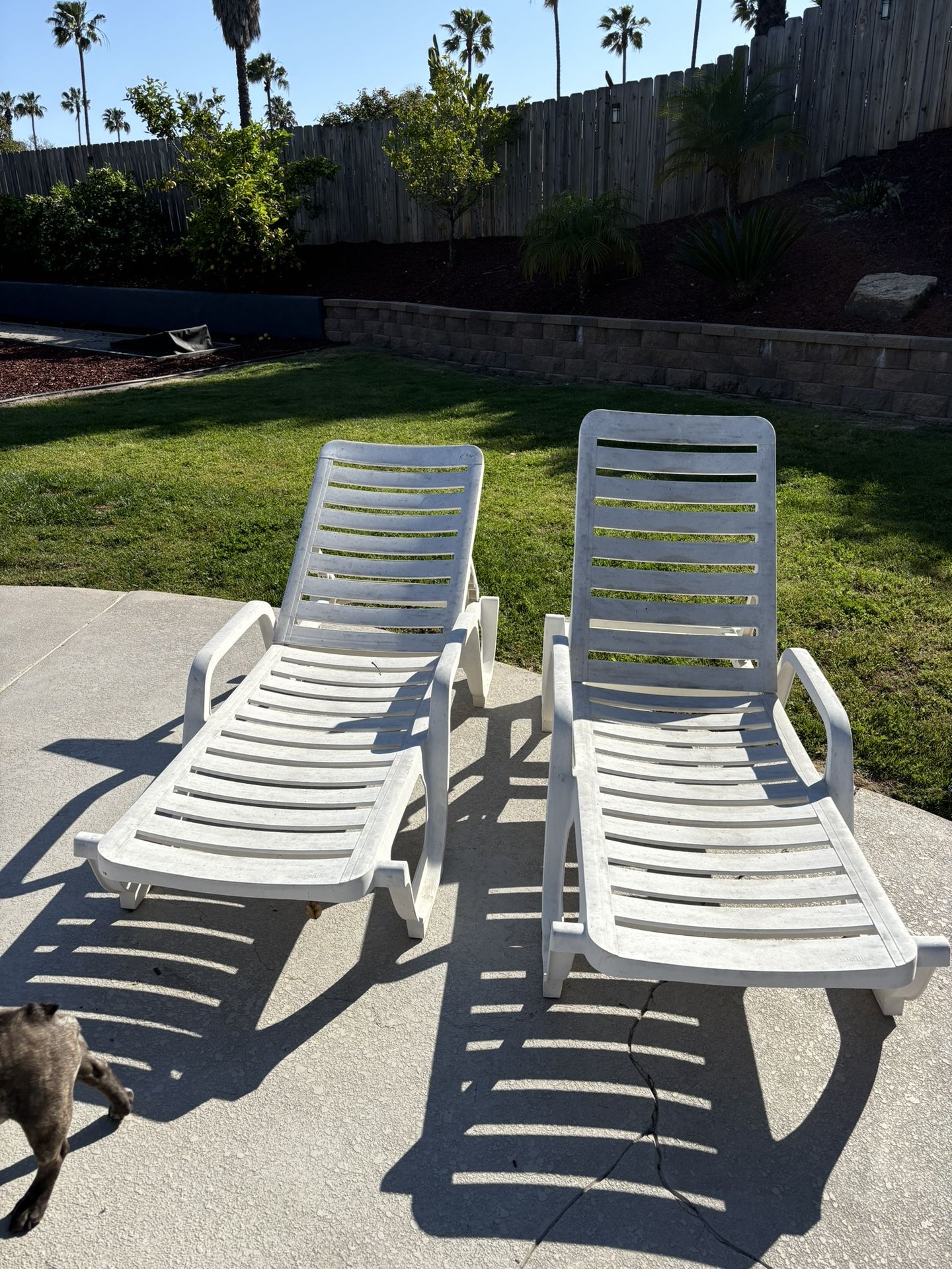 White Lay Out Chairs