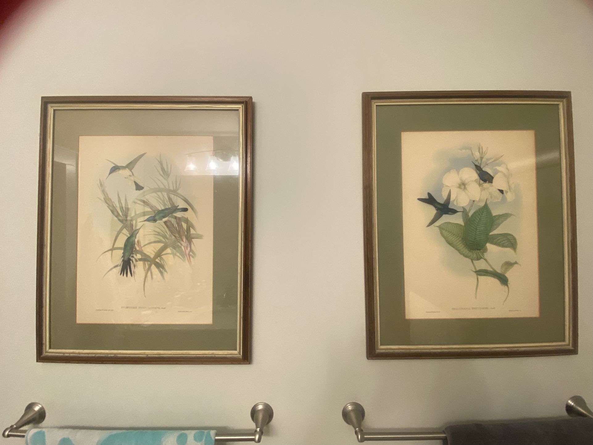 Bird Prints Retro Antique