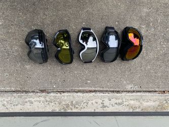 Ski or Snowboard Goggles